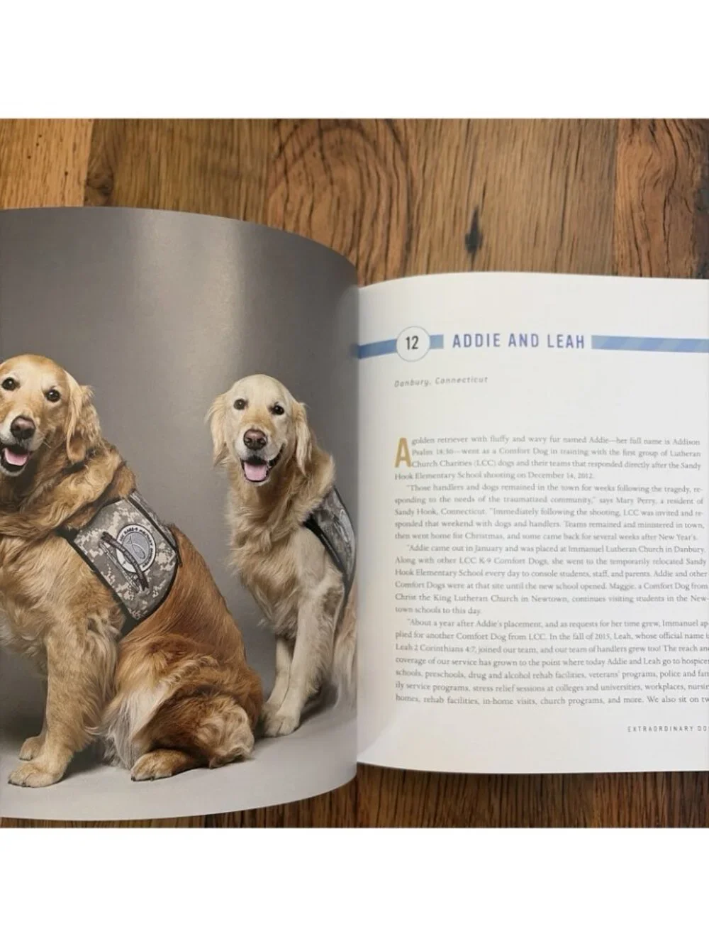 Extraordinary Dogs: Stories from Search and Rescue Dogs, Comfort Dogs, and Oth..